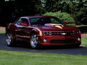 Imagen de Camaro Nickey Stage II