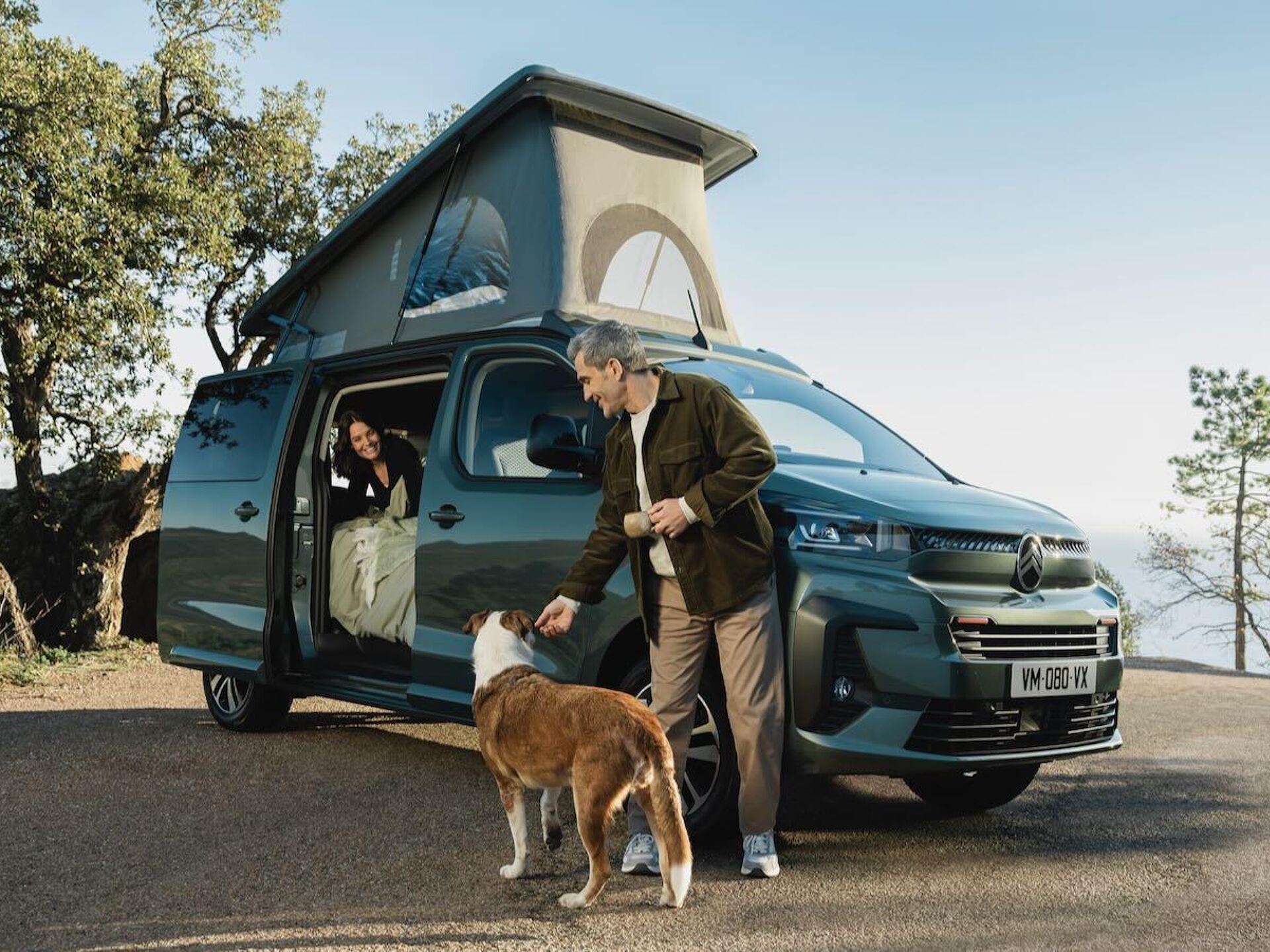 Imagen de CITROEN Holidays nuevo