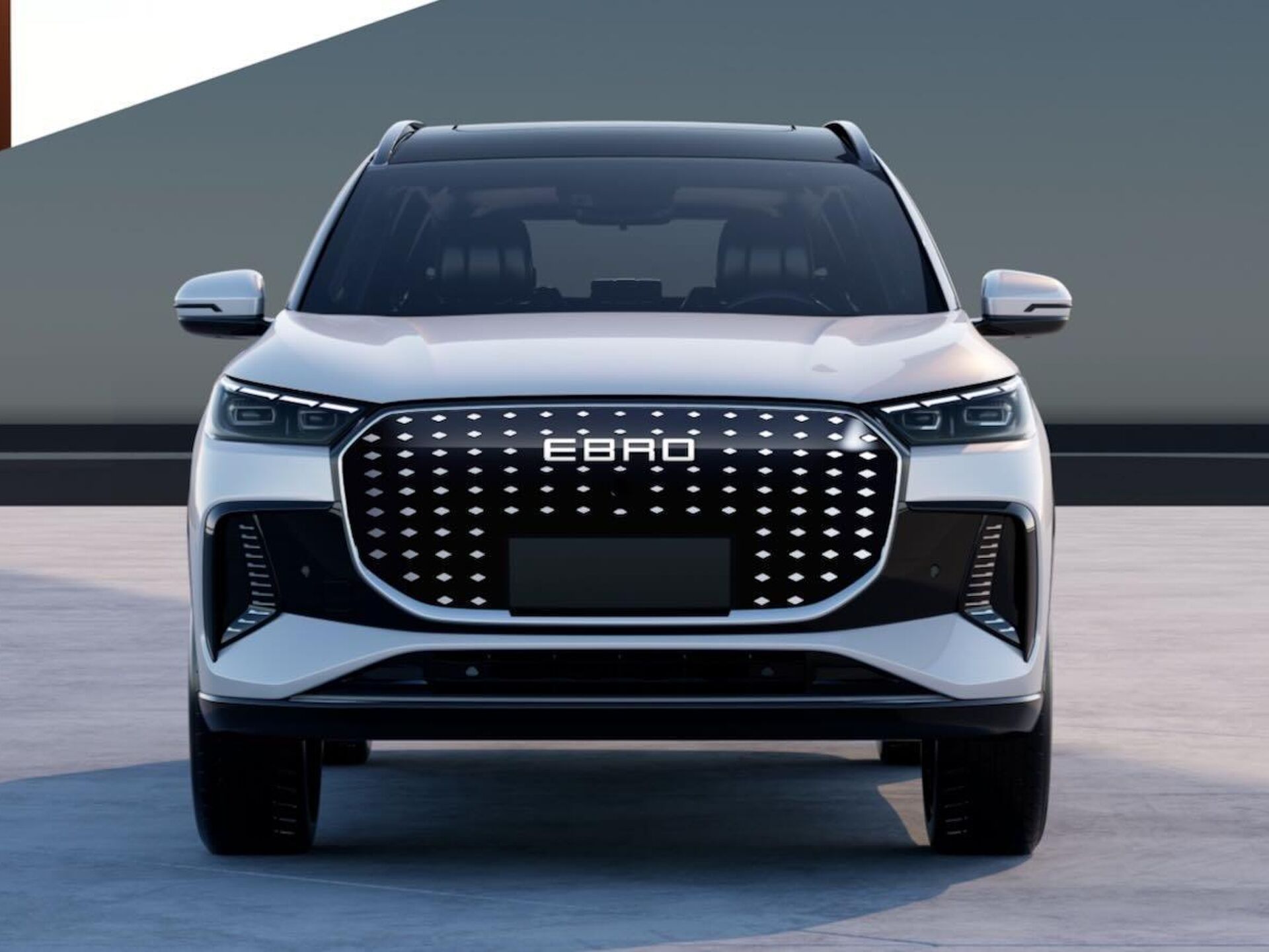 Imagen de EBRO s800 nuevo