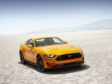 Foto Mustang 5