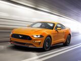 Foto Mustang 1