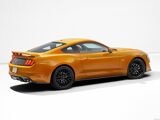 Foto Mustang 6