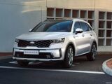 Foto Sorento 1