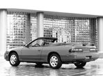 Miniatura de foto 2