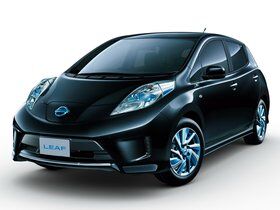 Imagen de Leaf Aero Style