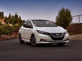Imagen de Leaf USA