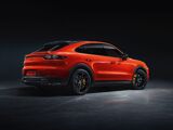 Foto Cayenne 1