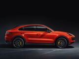 Foto Cayenne 2
