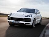 Foto Cayenne 1