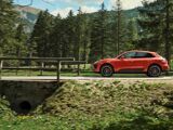 Foto Macan 3