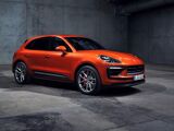 Foto Macan 6