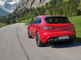 Foto Macan 5