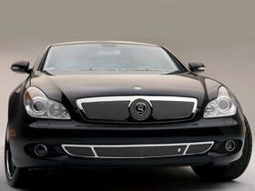 Imagen de Strut Mercedes CLS Milan C219