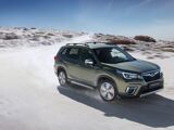 Foto Forester 3