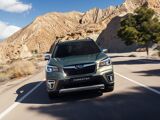 Foto Forester 1