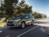 Foto Forester 2