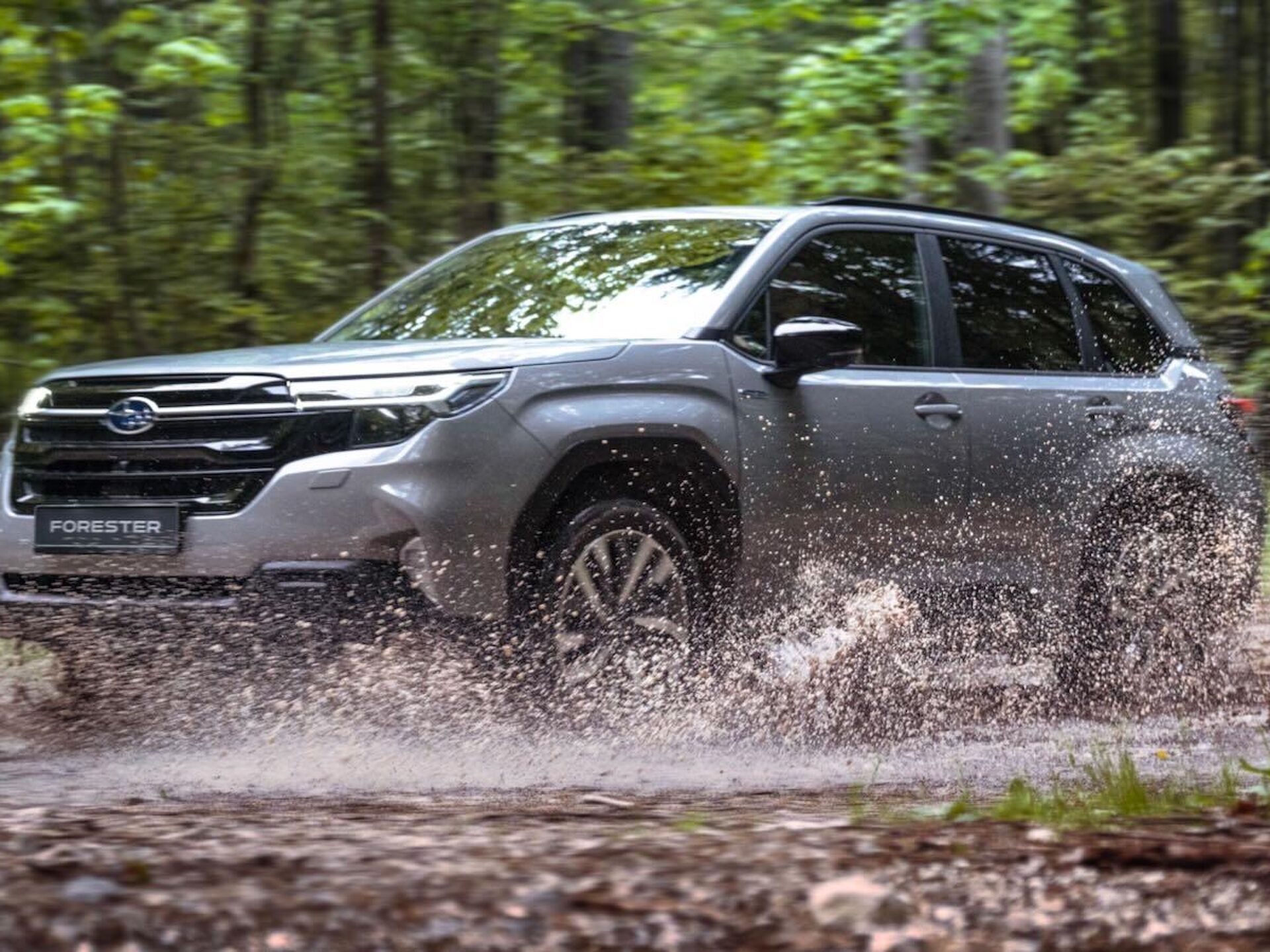 Imagen de SUBARU Forester nuevo
