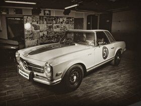 Imagen de Vilner W113 Gentle Pagoda