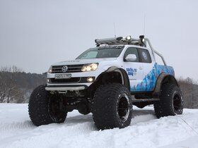 Imagen de Amarok Northern Wolf