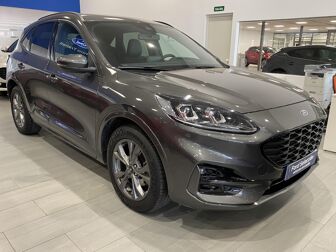 Ford Kuga 2.0 EcoBlue MEHV ST-Line X FWD 150 - 31.010 € - coches.com