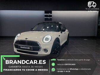 Mini Mini One